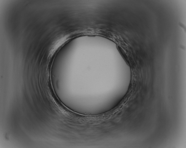 X0000092240005200709141013