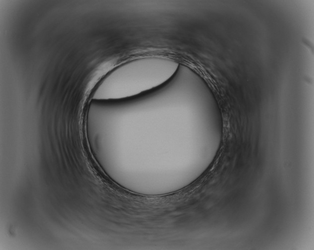 X0000092240006200709141012