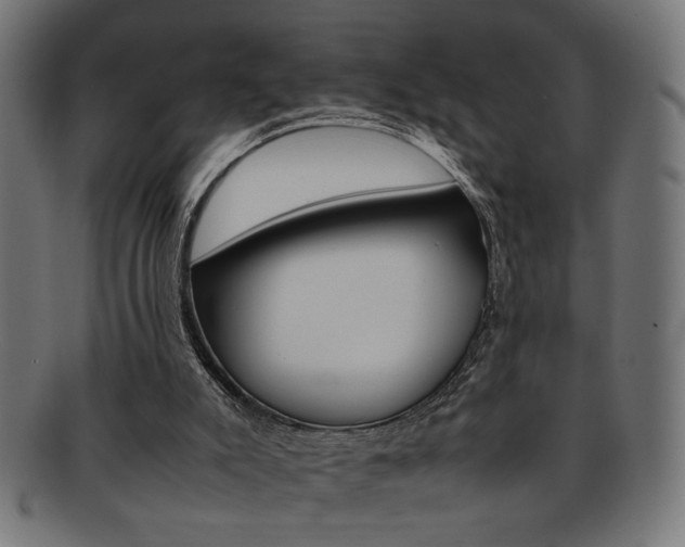 X0000092240007200709141012