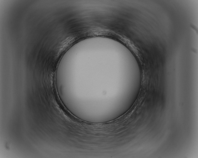 X0000092240010200709141012