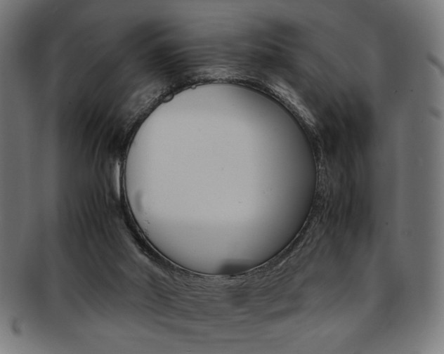 X0000092240014200709141012