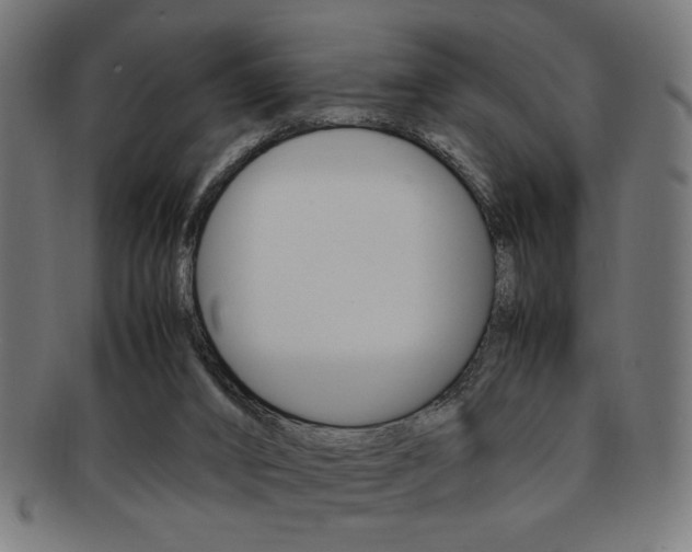 X0000092240016200709141012