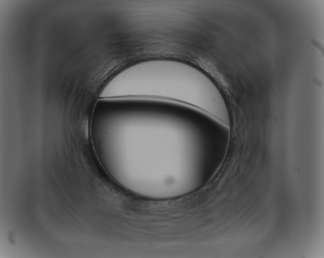X0000092240021200709141012