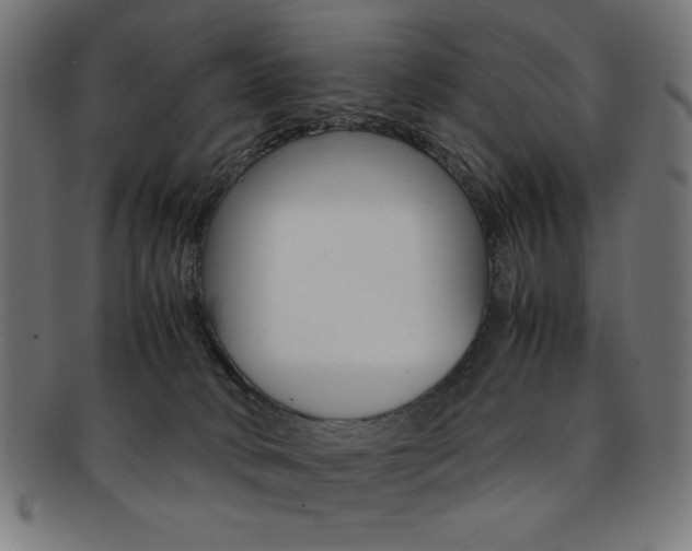 X0000092240034200709141012