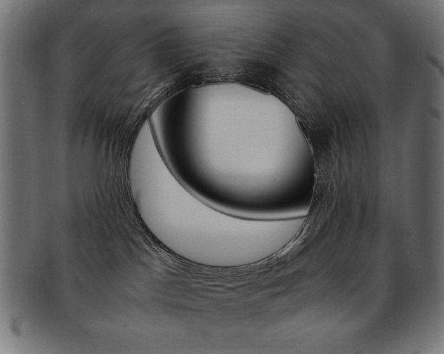 X0000092240045200709141012