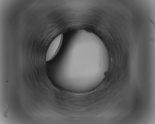 X0000092240048200709141012