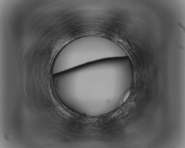 X0000092240049200709141011