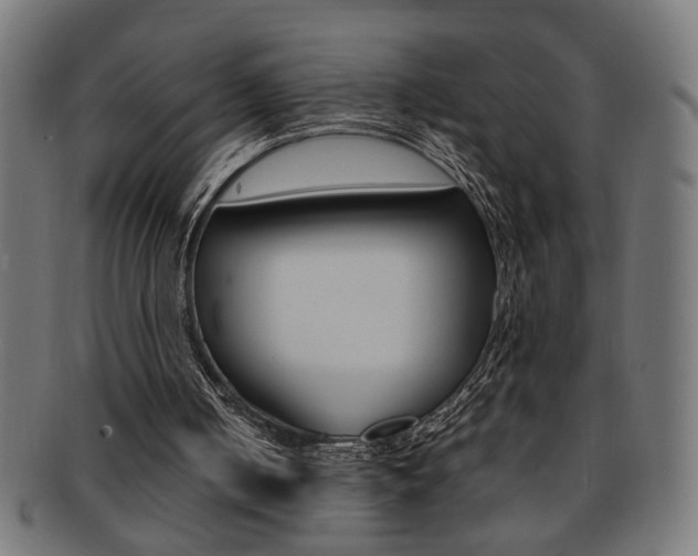 X0000092240050200709141011