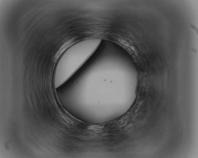 X0000092240051200709141011