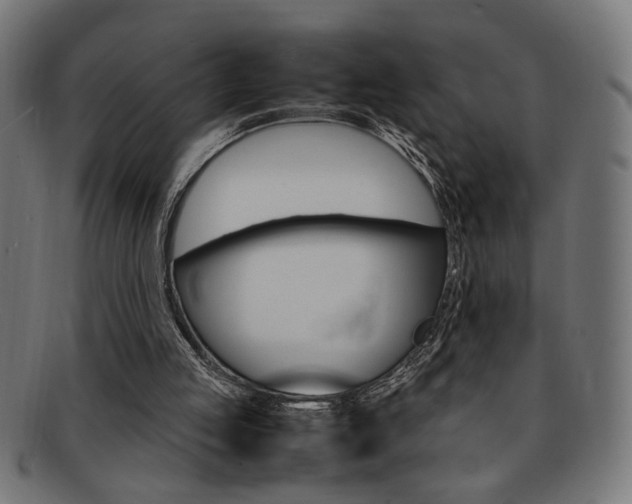 X0000092240053200709141011
