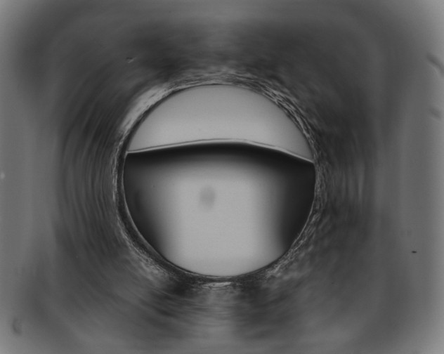 X0000092240054200709141011