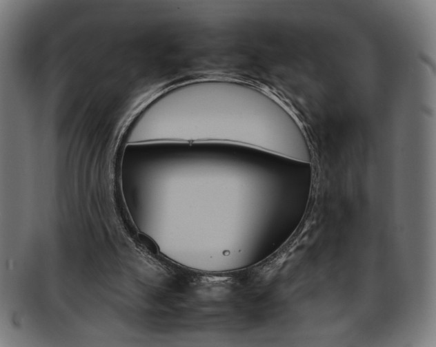 X0000092240055200709141011