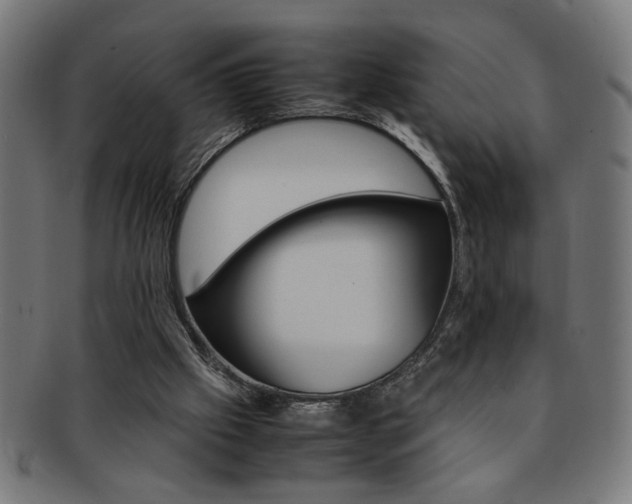 X0000092240057200709141012