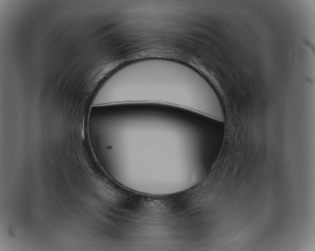 X0000092240062200709141012