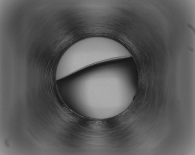 X0000092240074200709141012