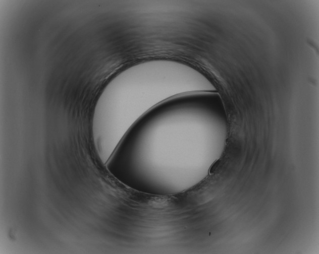 X0000092240076200709141012