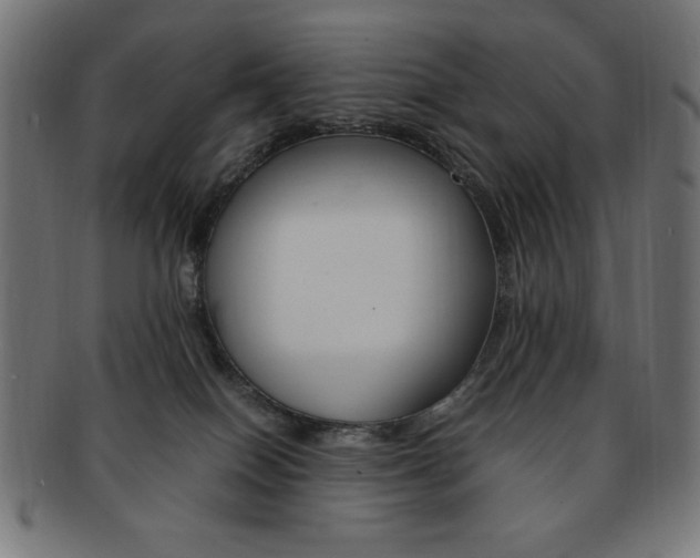 X0000092240086200709141012