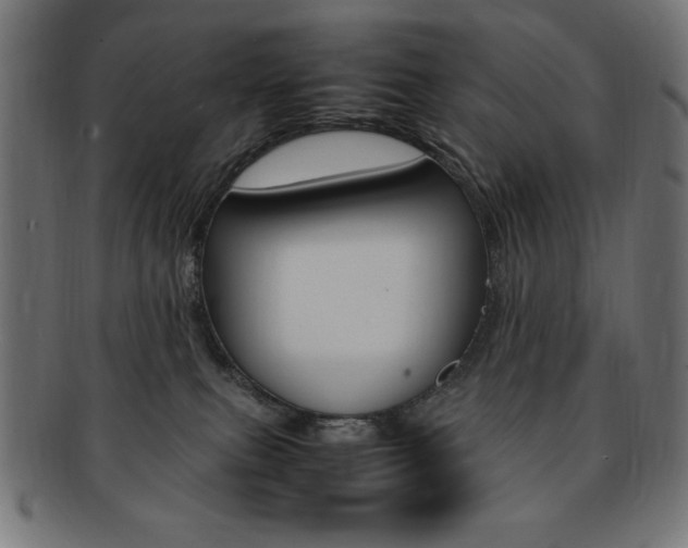 X0000092240087200709141012