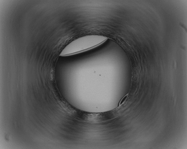 X0000092240090200709141012