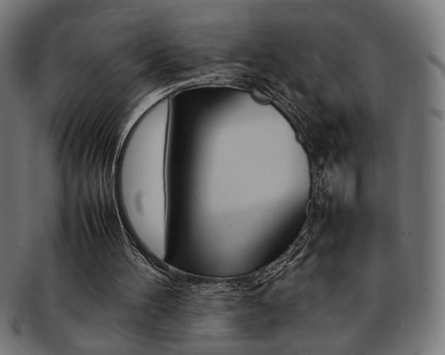 X0000092240100200709141011