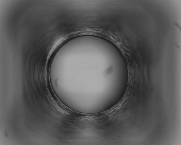 X0000092240102200709141011
