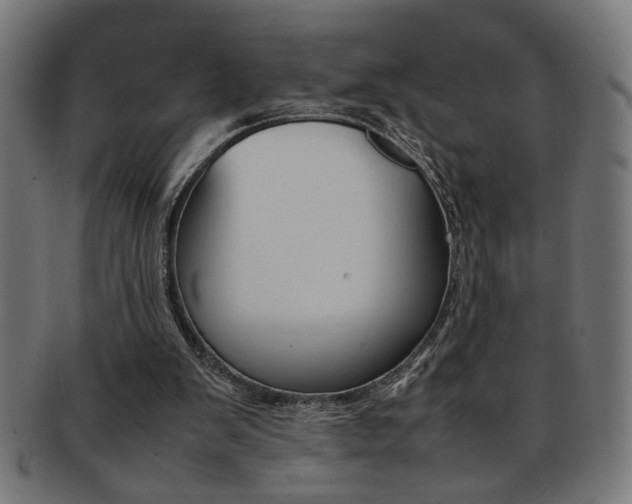 X0000092240103200709141011