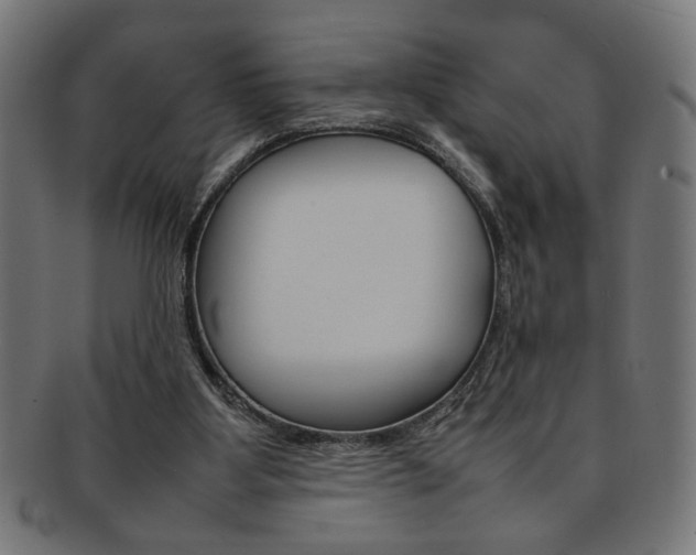 X0000092240107200709141011