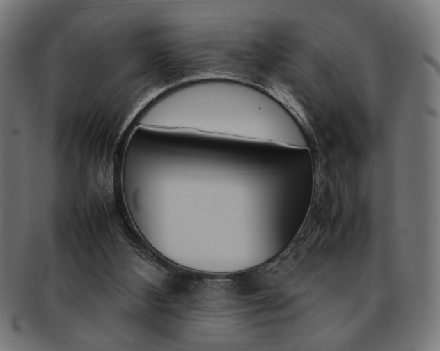 X0000092240108200709141011