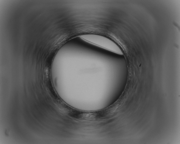 X0000092240117200709141011