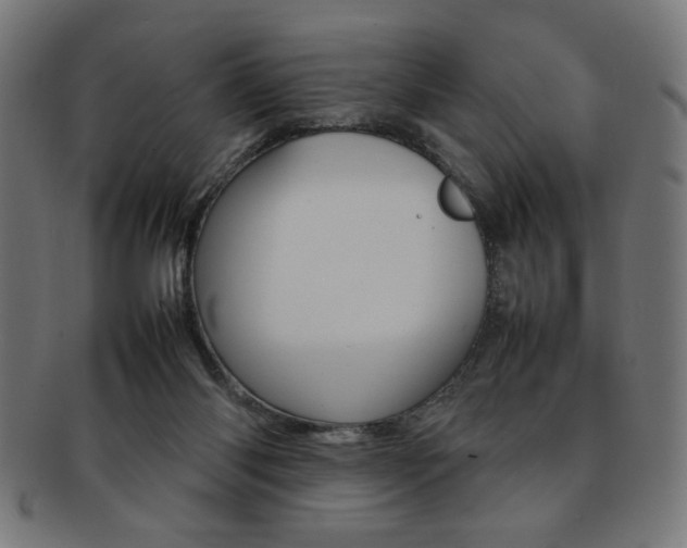 X0000092240118200709141011