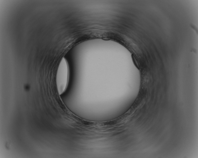 X0000092240121200709141011