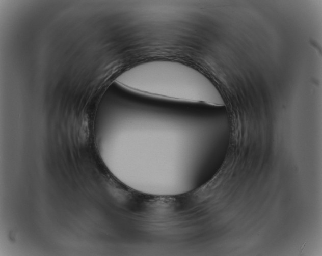 X0000092240128200709141011
