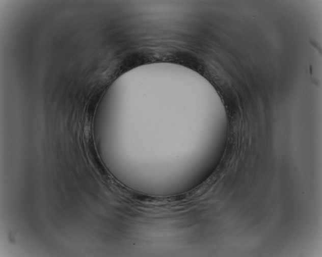 X0000092240129200709141011