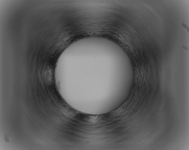 X0000092240130200709141011