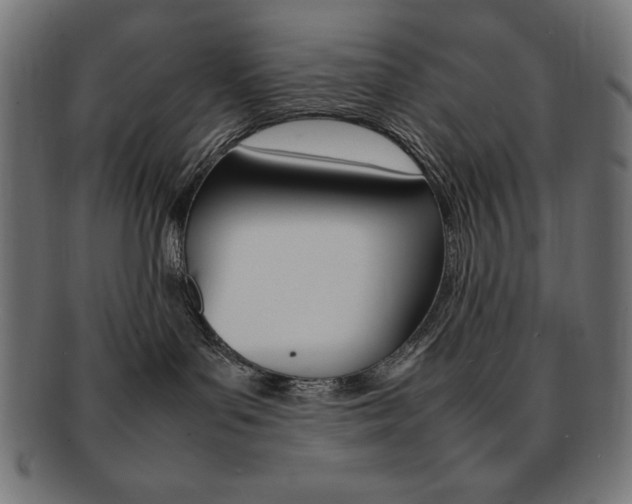X0000092240143200709141011