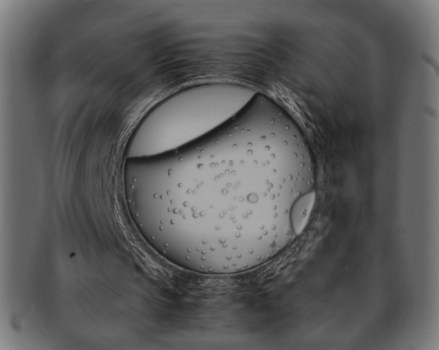 X0000092240145200709141010