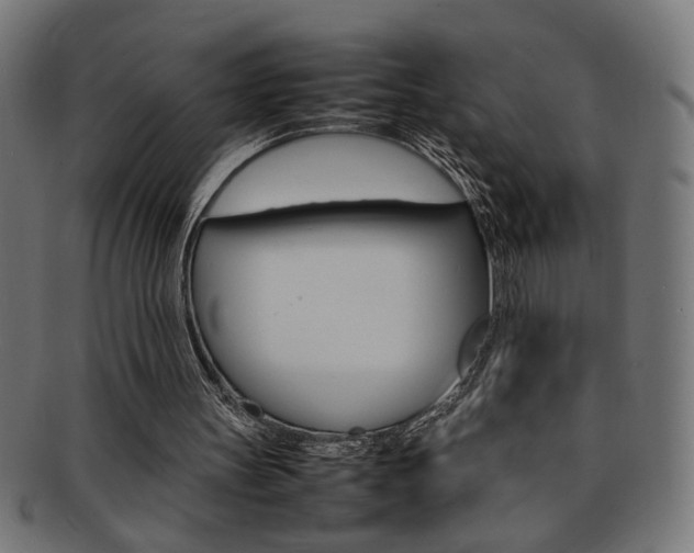 X0000092240147200709141010