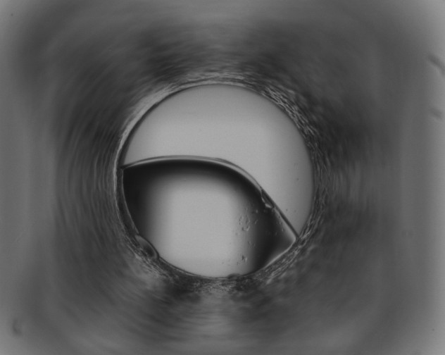 X0000092240148200709141010