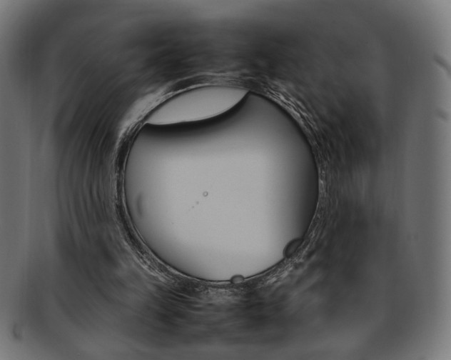 X0000092240149200709141010