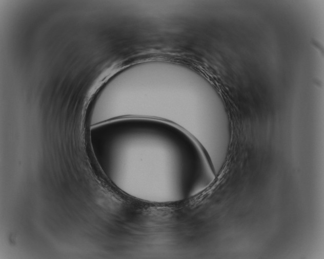X0000092240150200709141010