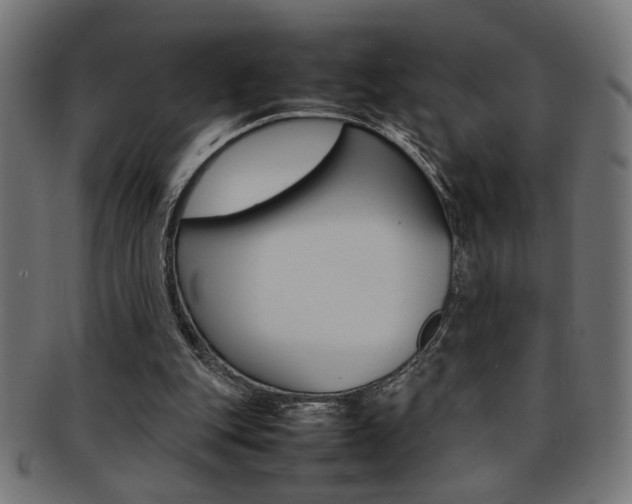 X0000092240151200709141010