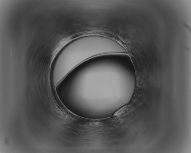 X0000092240152200709141010