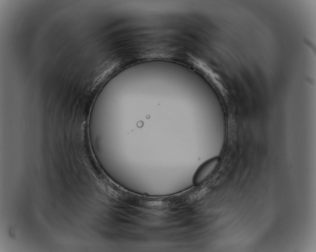 X0000092240153200709141010