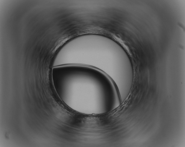 X0000092240154200709141010