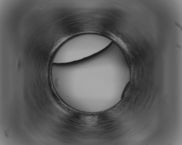 X0000092240155200709141010