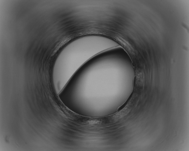 X0000092240158200709141010
