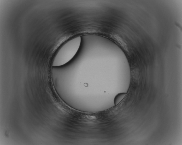 X0000092240159200709141010