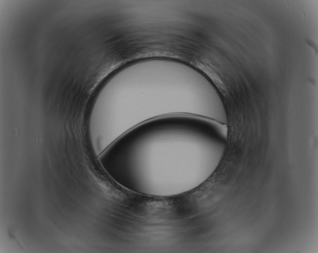 X0000092240160200709141010