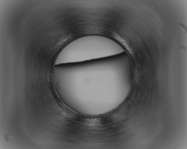 X0000092240161200709141010