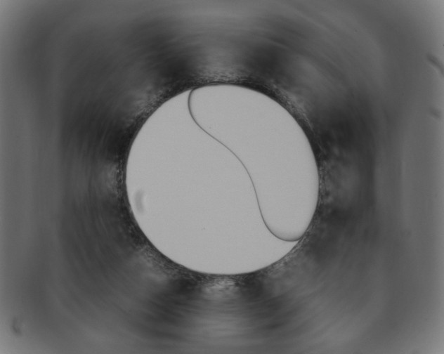 X0000092240162200709141010